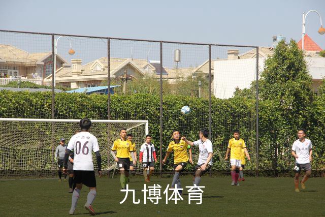 关于九博体育